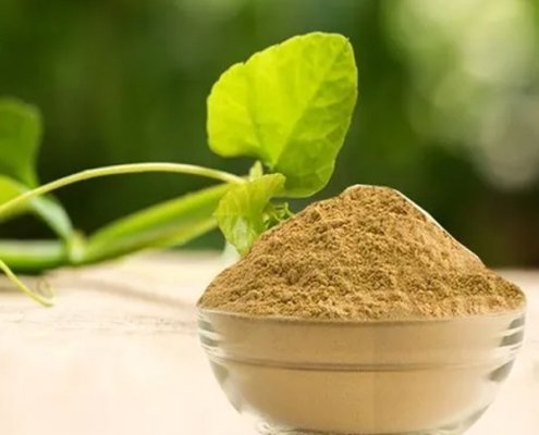 Cissus_powder