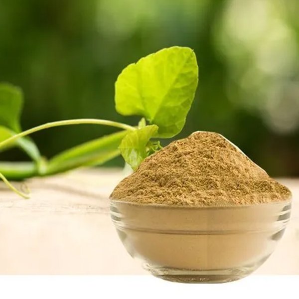 Cissus_powder